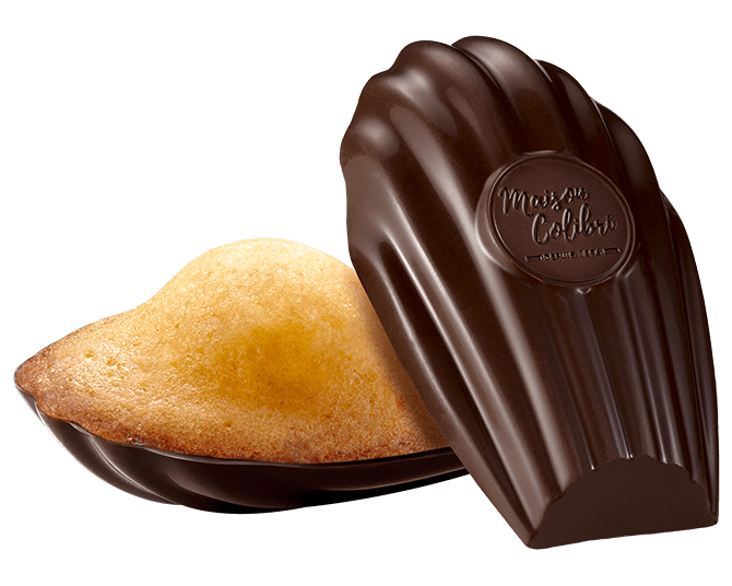 Madeleine coco coque chocolat noir